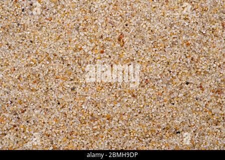 Texture. Calibrated Quartz Sand. Close-up. Clean granules. Smooth surface. Natural material. Stock Photo