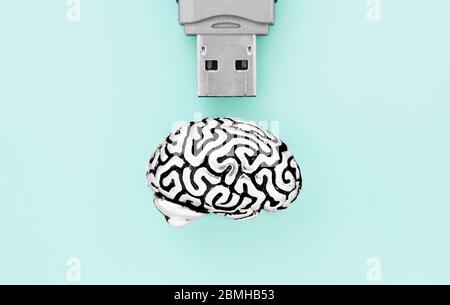Flat lay of a detailed miniature copy of human brain and a USB interface of a flash drive isolated on a light-blue background. Stock Photo