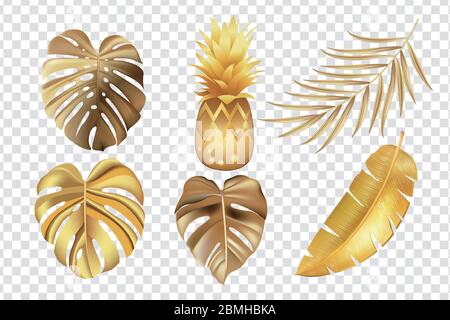 Gold tropical leaves set isolated on transparent background Stock Vector