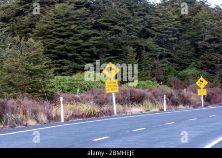 Kiwi road sign caution crossing at night and Slippery road sign in State Highway 48, Tongariro National Park, New Zealand Stock Photo