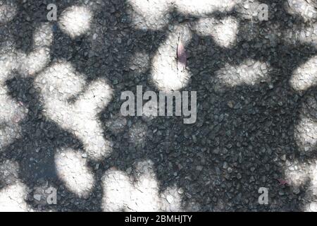 Gravel, sunlight shadows, tree shadows, shadow, nature, natural background, blog image, relaxing concept, relax, light, sunny, black, grey, minimal Stock Photo