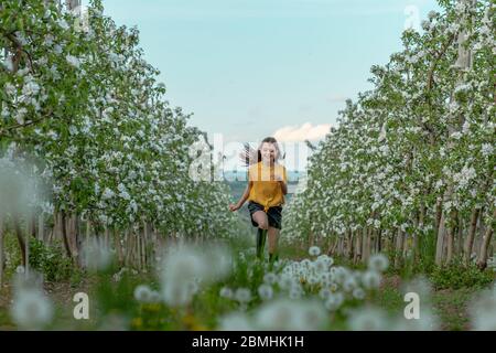 Happy brunette girl in yellow shirt running along blooming trees in the apple garden Stock Photo