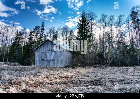 Beautiful traditional scandinavian unpainted wooden shed at forest edge, farmers keep machines and tools for agriculture, storage during seasonal work Stock Photo