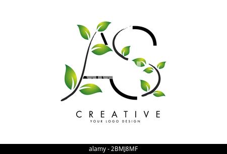 Leaf Letters AS A S Logo Design with Green Leaves on a Branch. Letters AS with nature concept. Eco and Organic Letter Vector Illustration. Stock Vector