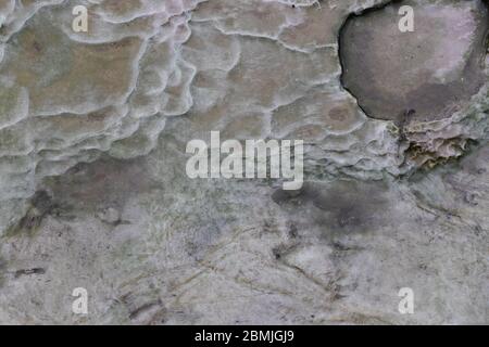 Mysterious, veined stone & mud surface with crater covered with moss, viewed from above Stock Photo