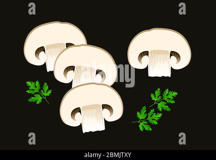 Isolated slices of mushroom and parsley,  pieces of champignon. Pizza ingredient or part of the healthy vegetarian food. Realistic vector flat illustr Stock Vector