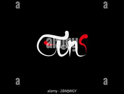Guns lettering text. Modern calligraphy style vector illustration. Stock Vector