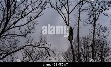 Worker with chainsaw and helmet hanging from rope and cutting down