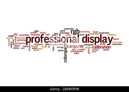 Professional display word cloud concept on white background Stock Photo