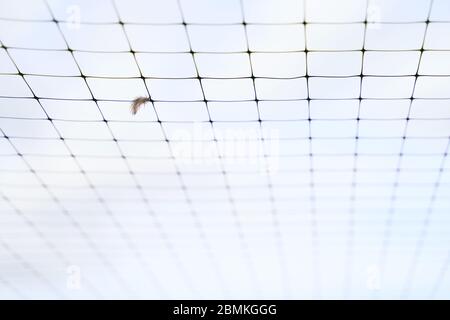 Small feather stuck in the wire mesh roof of the bird breeding farm on blue sky background Stock Photo