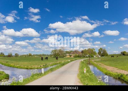 Narrow country road leading to the small village of Dorkwerd near Groningen, Netherlands Stock Photo