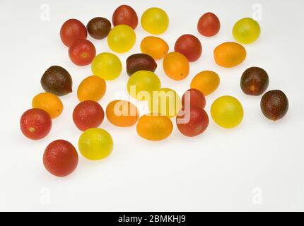 fresh multi-colored cherry tomatoes on a white background. wet tomatoes Stock Photo