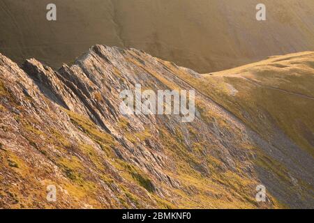 Sharp Edge ridge on Blencathra, in the English Lake District Stock Photo