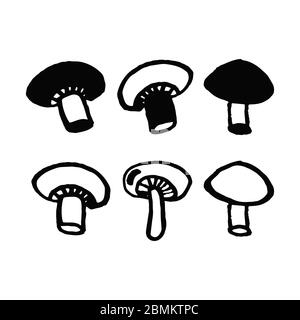 Set champignon mushrooms in doodle style isolated on white background. Vector hand drawn outline and silhouette simple illustration. Eco product. Heal Stock Vector