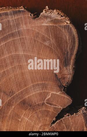 Wood piece from above on a wooden background Stock Photo