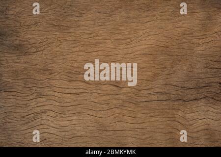 Old plank wood texture background. wood surface eroded as background Stock Photo