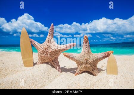 Two starfish surfers on sand of tropical beach at Philippines Stock Photo