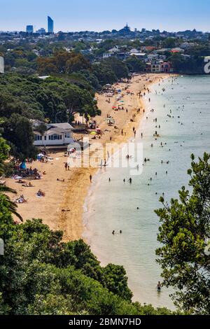 Elevated view of Cheltenham Beach, Devonport, Auckland, New Zealand. Stock Photo