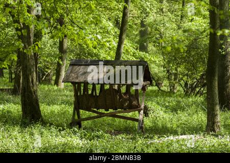 Cratch with hay and cereal grains for wild animals in forest. Stock Photo