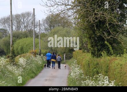 Magheralin, County Armagh, Northern Ireland. 10 May 2020. UK weather - cooler and breezy in the north-easterly wind but a very pelasant spring day nonetheless. A family group out walking with two dogs on a pleasant spring day. Credit: CAZIMB/Alamy Live News. Stock Photo