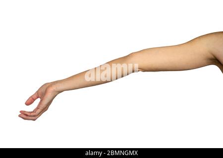Arm of a caucasian young woman Stock Photo