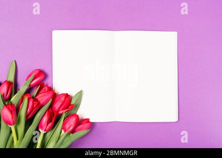 Beautiful red tulips and opened notebook with blank paper on purple background. Happy Mothers day. Space for text. Greeting card. Holidays concept Stock Photo