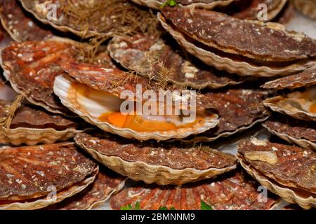 Oysters on the counter in wooden boxes on the market. Oysters for sale at the seafood market. Fish market stall full of fresh shell oysters. Fresh oys Stock Photo