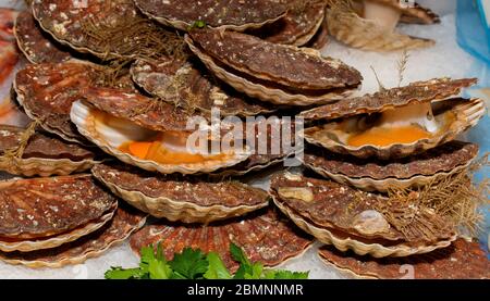 Oysters on the counter in wooden boxes on the market. Oysters for sale at the seafood market. Fish market stall full of fresh shell oysters. Fresh oys Stock Photo