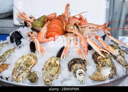 Fine selection of crustacean for dinner. Lobster, crab and jumbo shrimps and oysters on dark background Stock Photo