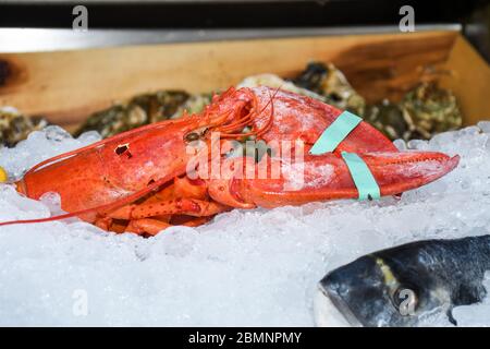 Fine selection of crustacean for dinner. Lobster, crab and jumbo shrimps and oysters on dark background Stock Photo