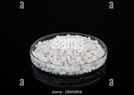 perlite mineral Stone in petri dish on black background Stock Photo