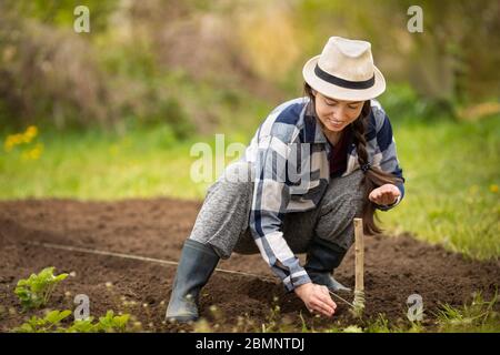 farmer planting seeds Stock Photo