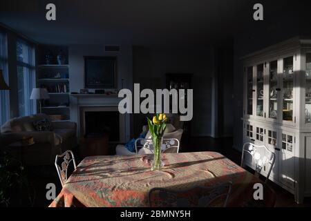 Reston, VA, USA -- May 10, 2020. Early morning sunlight streams through a window onto a vase of yellow roses in an otherwise dark apartment. Stock Photo