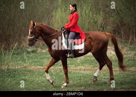 Equestrian sport, young woman jockey is riding brown horse. Stock Photo