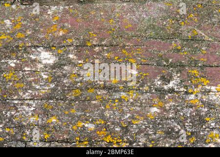 Abstract background of rough cracked textured timber surface with random speckled texture and horizontal crack lines Stock Photo