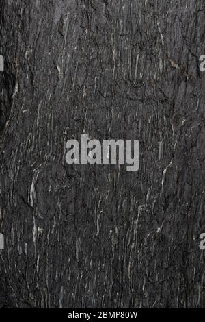 Abstract background of rough linear textured dark rock surface Stock Photo
