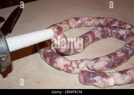 Making homemade sausage at home. Stuffing pork intestine with meat. The photo shows a tube on which the intestine and part of the already stuffed saus Stock Photo