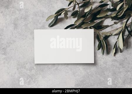Moody feminine wedding stationery mock-up scene. Blank greeting, business card and green olive leaves, branches on grunge table background. Flat lay, Stock Photo