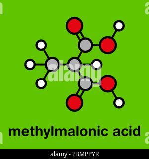 Methylmalonic acid molecule. Increased plasma levels may indicate vitamin B12 deficiency. Stylized skeletal formula (chemical structure): Atoms are shown as color-coded circles: hydrogen (white), carbon (grey), oxygen (red). Stock Photo