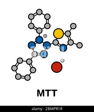 MTT yellow tetrazole dye molecule. Used in MTT assay, used to measure cytotoxicity and cell metabolic activity. Stylized skeletal formula (chemical structure): Atoms are shown as color-coded circles: hydrogen (hidden), carbon (grey), oxygen (red), nitrogen (blue), sulfur (yellow), bromine (brown). Stock Photo