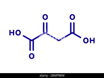 Oxaloacetic acid (oxaloacetate) metabolic intermediate molecule. Skeletal formula. Stock Photo