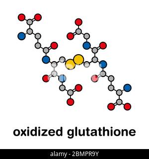 Glutathione (oxidized glutathione, GSSG) molecule. Stylized skeletal formula (chemical structure): Atoms are shown as color-coded circles: hydrogen (hidden), carbon (grey). Stock Photo
