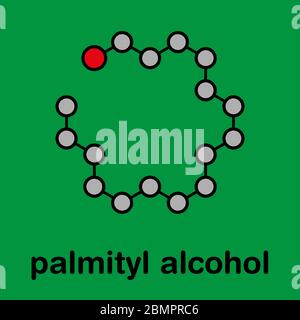 Cetyl (or palmityl) alcohol molecule. Constituent of cetostearyl alcohol  (cetearyl alcohol, cetylstearyl alcohol). Skeletal formula. Stock Vector