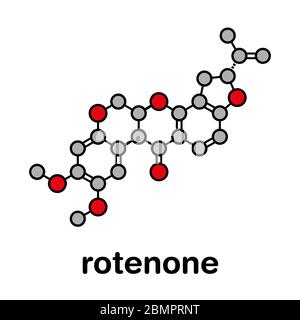 Rotenone broad-spectrum insecticide molecule. Also linked to ...