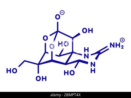 Tetrodotoxin (TTX) pufferfish neurotoxin molecule. Stylized 