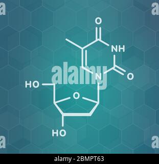 Thymidine (deoxythymidine) nucleoside molecule. DNA building block. Skeletal formula. Stock Photo