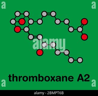 Thromboxane A2 (TXA2) molecule. Stylized skeletal formula (chemical structure): Atoms are shown as color-coded circles: hydrogen (hidden), carbon (grey), oxygen (red). Stock Photo