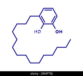 Urushiol poison ivy allergen molecule. Also present in poison oak, lacquer tree and poison sumac. Urushiol is a mixture of closely related components, only one of which is shown. Skeletal formula. Stock Photo