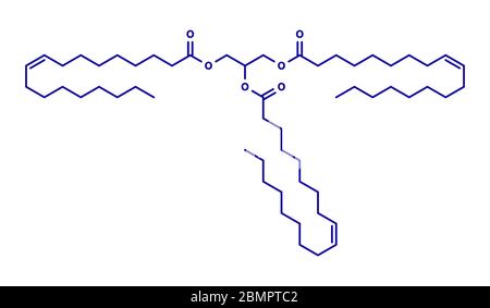 Olive oil triglyceride. Example of an olive oil triglyceride, containing 3 oleic acid moieties (glyceryl trioleate). Skeletal formula. Stock Photo