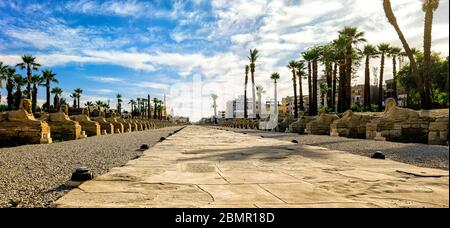 The Avenue of Sphinxes, one of the most important archaeological and religious paths in Luxor, was once the location of important religious ceremonies Stock Photo
